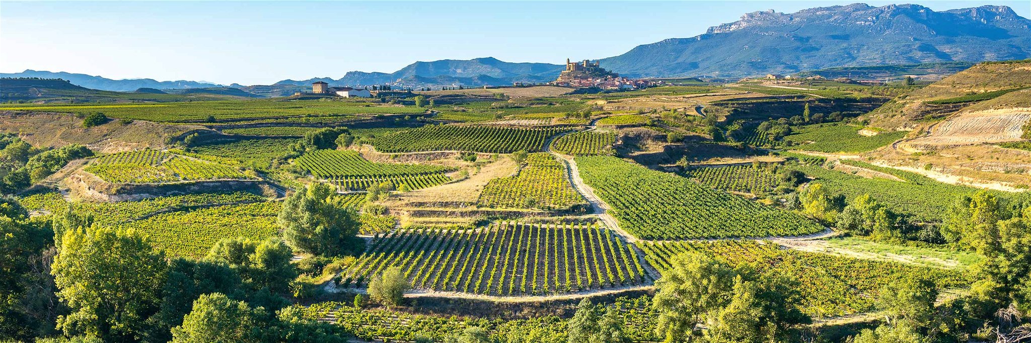 Der Schwerpunkt der Cava-Produktion liegt in Katalonien, wo sich die meisten Weinbauorte befinden.
