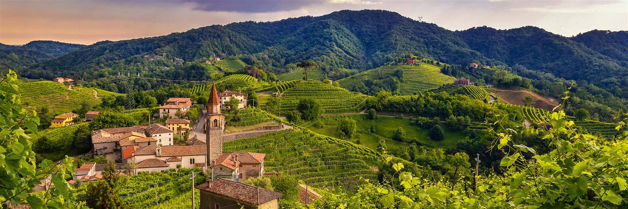 Prosecco eroberte in den letzten Jahren die Welt und machte Venetien zur führenden Schaumweinregion Italiens.