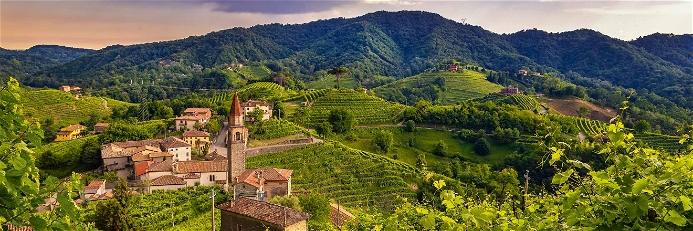 Prosecco eroberte in den letzten Jahren die Welt und machte Venetien zur führenden Schaumweinregion Italiens.