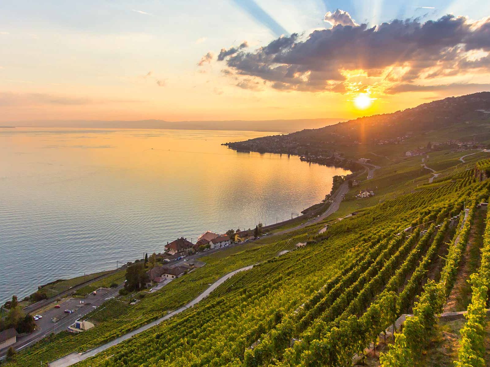 In vielen Schweizer Weinregionen experimentieren Winzer mit der Herstellung von Schaumweinen. Etwa im Lavaux am Genfersee.