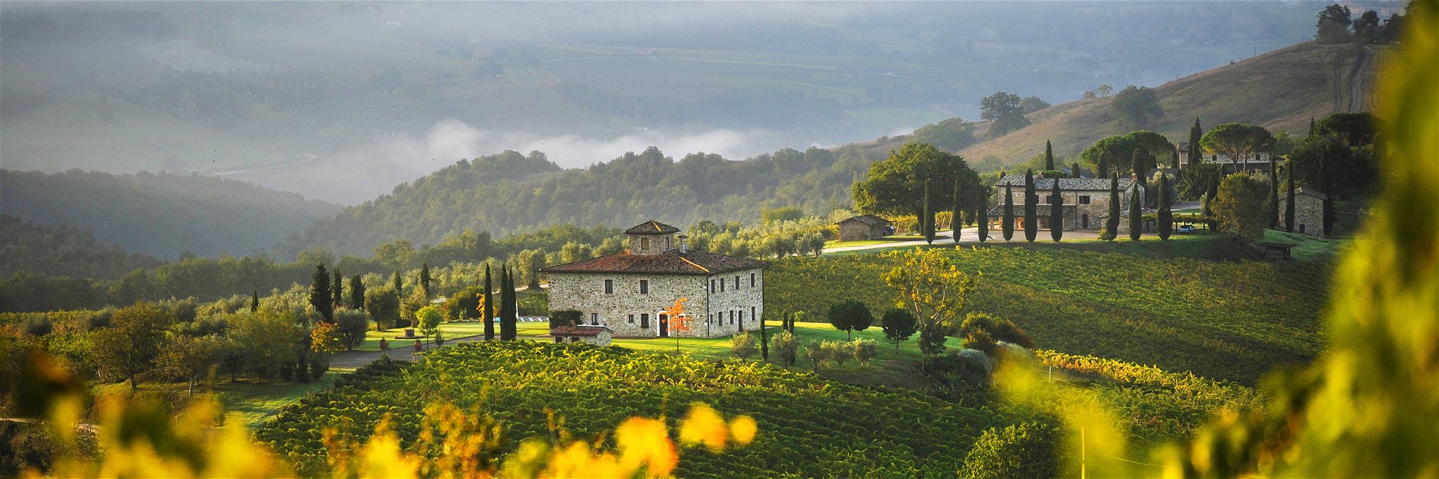 Sanfte Hügel und historische Weingüter prägen das Landschaftsbild.
