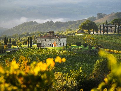 Sanfte Hügel und historische Weingüter prägen das Landschaftsbild.
