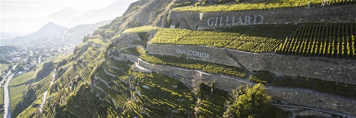 In den Hängen der Walliser Weinlandschaft entsteht der Fendant Les Murettes.