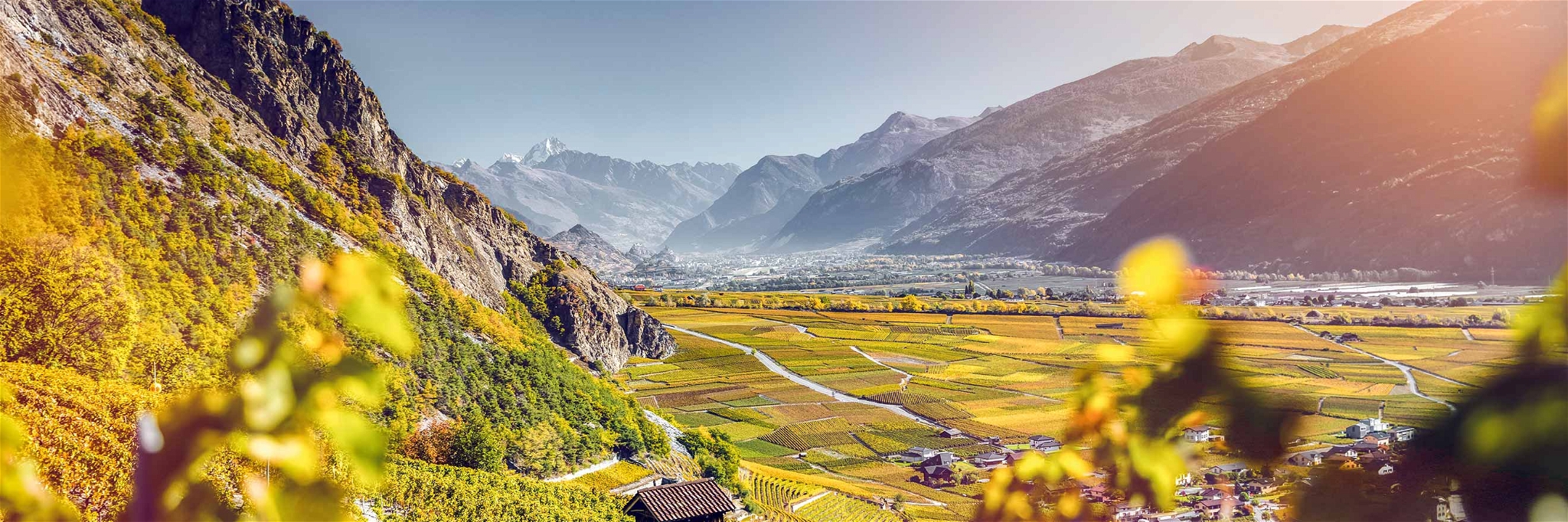 Das Walliser Rhônetal: Heimat der besten Syrahs der Schweiz.