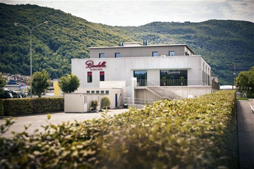 Der Weinhandel von Familie Bindella gehört zu den besten der ganzen Schweiz.