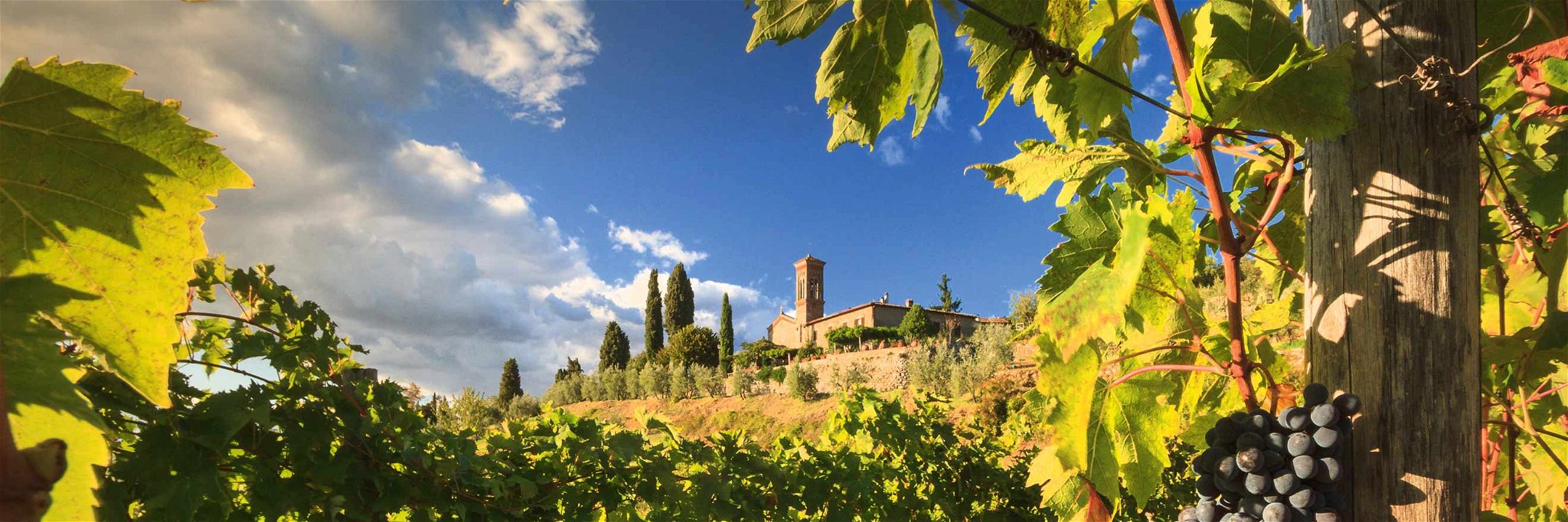 In der malerischen Landschaft des Chianti Classico entstehen einzigartige Weine.&nbsp;
