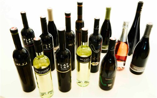 In 24 Länder der Welt werden die Weine aus dem Joiser Betrieb heute exportiert.