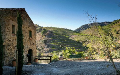 Mas de la Rosa im Priorat: 1,9&nbsp;Hektar 80-jährige Reben im Besitz von Torres.