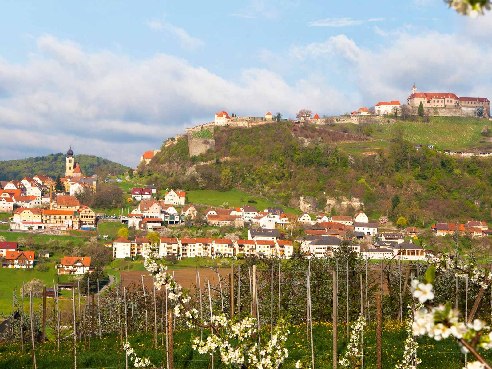 Die Riegersburg ist nicht nur eine der schönsten Burgen des Landes, sie ist in luftiger Höhe auch von mehreren Hektar Weingärten umgeben.