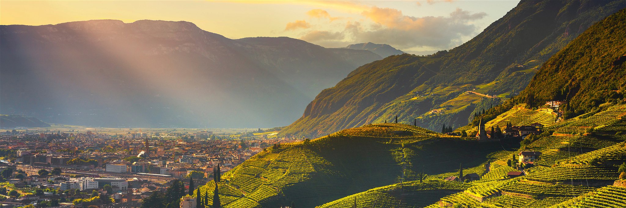 Die Weinberge vor Bozen bieten einen malerischen Blick auf die Südtiroler Hauptstadt.