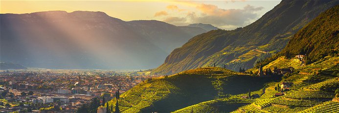 Die Weinberge vor Bozen bieten einen malerischen Blick auf die Südtiroler Hauptstadt.