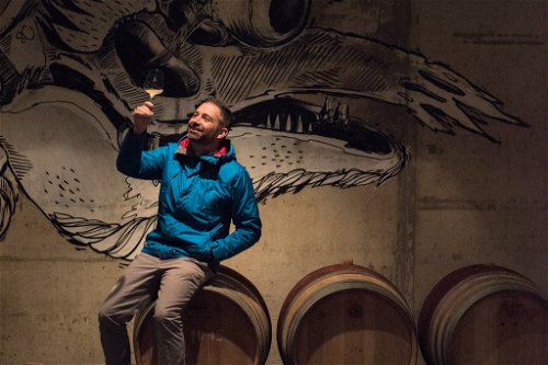 Christoph Neumeister setzt in Straden im steirischen Vulkanland seine Vorstellung von großem Wein um.