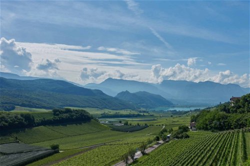 Das Weinbaugebiet Überetsch verfügt über eine Weinbaufläche von ca. 1690 ha.