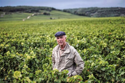 Der legendäre Romanée-Conti -Boss Aubert de Villaine setzte im Burgund früh auf biodynamischen Weinbau.