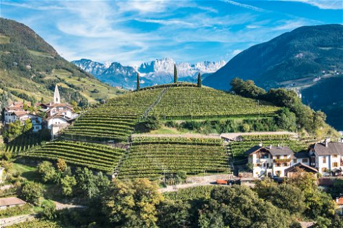 Die&nbsp;ikonische Bergkette des Rosengartens prägt den Hintergrund des Bozner Weinbaus.