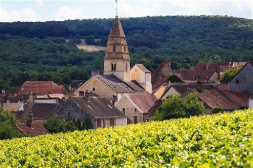 Auxey-Duresses liegt nur drei Kilometer von Meursault entfernt und erzeugt etwas leichtere, aber ähnlich strukturierte Weißweine.
