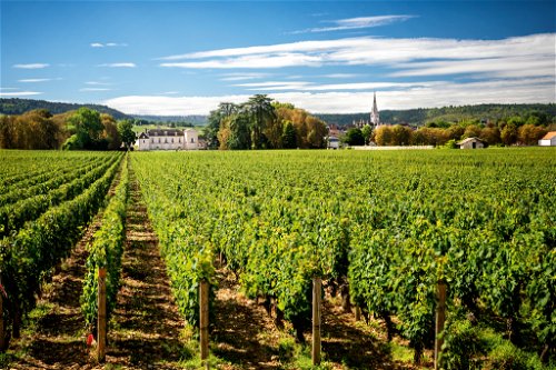 Ein Kirchlein, ein Dorf und ausgedehnte Weinberge: So sieht es fast überall aus in Burgunds Weinbaugebieten.