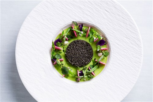 Grüner Spargel aus Süddeutschland mit Mousse–Vinaigrette aus grünem Spargel und Kaviar aus Belgien