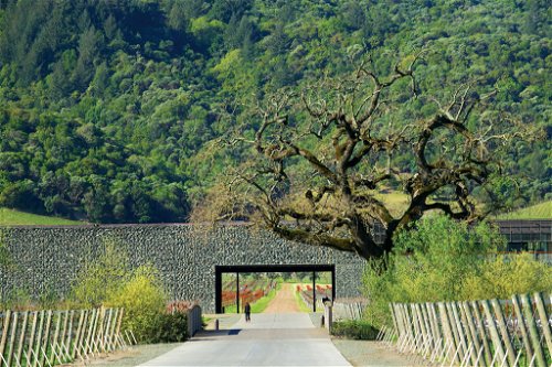 Perfekt in die Landschaft integriert ist das Weingut Dominus Estate im Napa Valley.