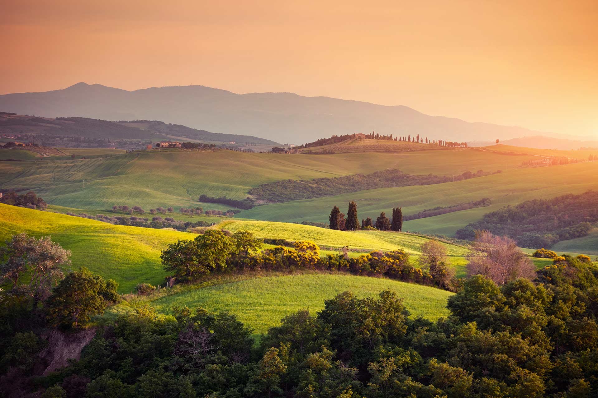 Antinori-Land: In der sanften Hügellandschaft der Toskana entstehen einige der besten Weine Italiens.