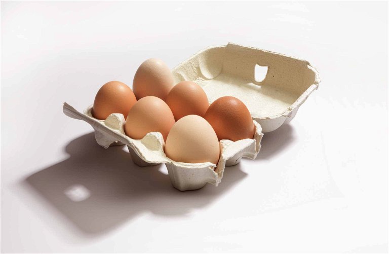 Wichtig beim Ei-Kauf: Die Eier sollten von frei laufenden Hühnern aus Biohaltung stammen.