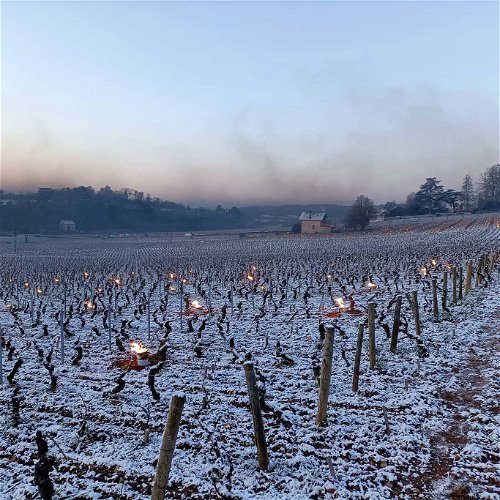 Kampf gegen Frostschäden in Weingärten der Domaine Belleville im Burgund.