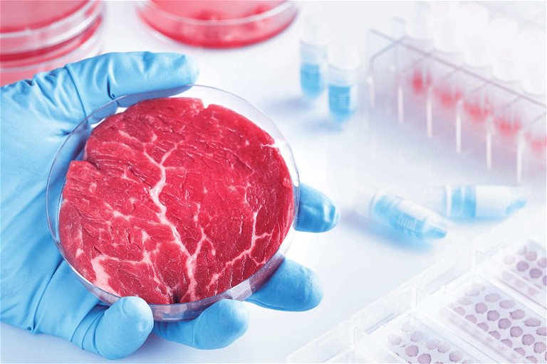 Im Labor produziertes Fleisch aus Zellkulturen ist in der Produktion&nbsp;sehr aufwendig und teuer – zumindest derzeit noch.