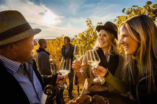 Gelebte Weinkultur: Das Gebiet am Westufer des Neusiedler Sees ist die Keimzelle des burgenländischen Weinbaus.