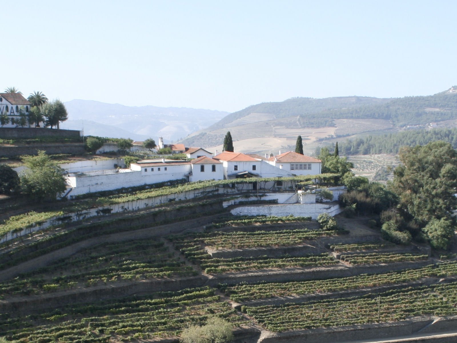 Quinta do Noval in Portugal's Douro Valley