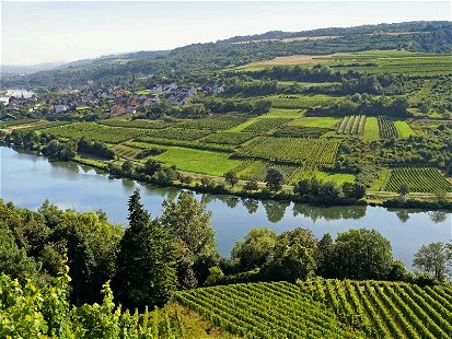 Weinbau in Luxemburg: Auch die Obermosel zieht Schleifen wie hier an der Grenze zu Deutschland.