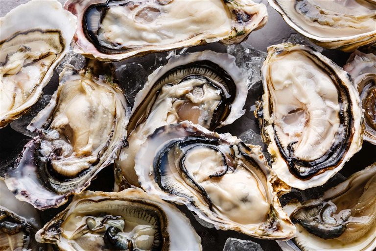 Zu den besten Austern, so die Fama, gehören wahlweise jene der Sorte »Bélon« oder die des bekannten französischen Austernzüchters Gérard Gillardeau. Weltweit wird das inzwischen allerdings differenziert betrachtet.