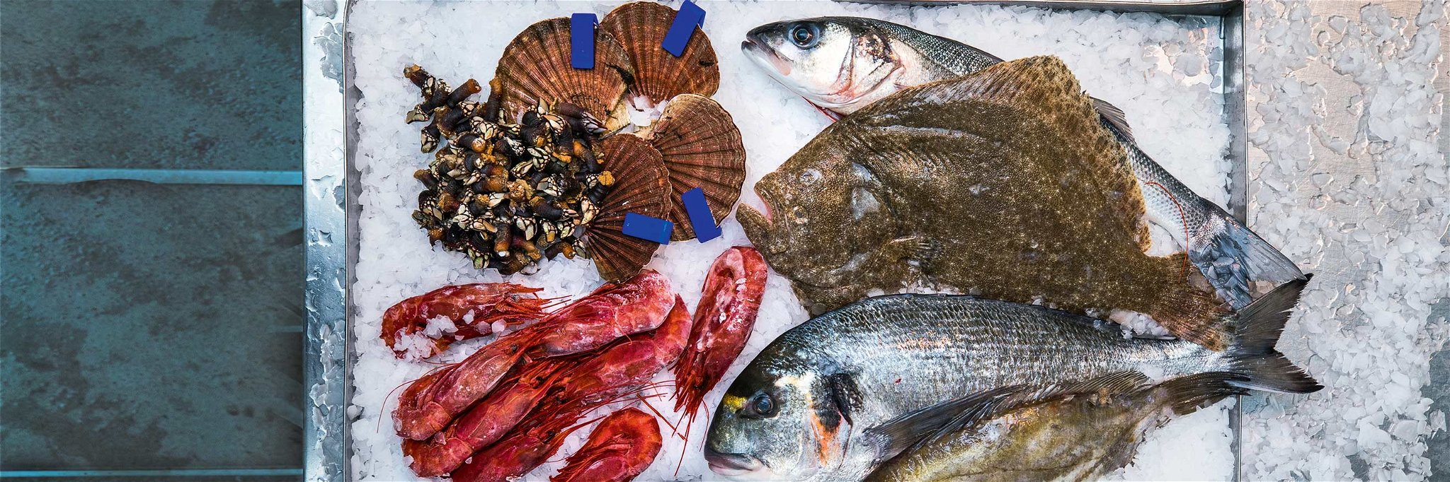 Das kulinarische Angebot aus den Weltmeeren könnte punkto Geschmack und Biss kaum vielfältiger sein.