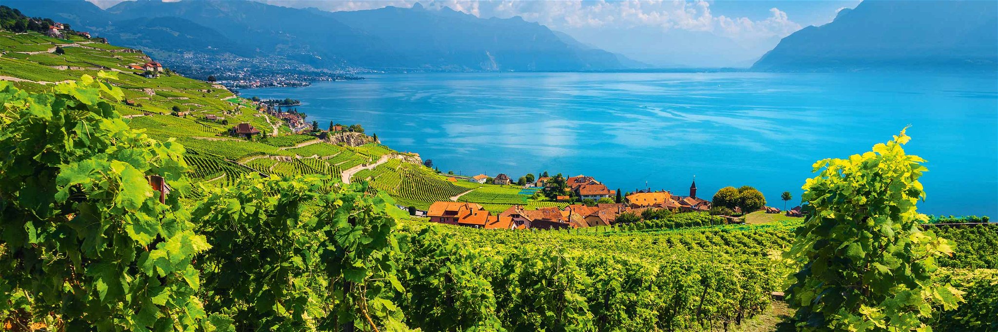 Das Weingebiet Lavaux am Genfersee gehört seit 2007 zum Unesco-Weltkulturerbe.