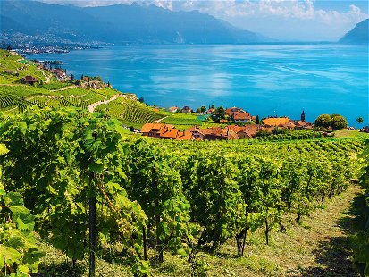 Das Weingebiet Lavaux am Genfersee gehört seit 2007 zum Unesco-Weltkulturerbe.