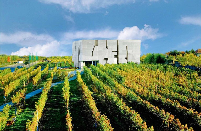 Der New Yorker Stararchitekt Steven Holl pflanzte das monumentale «Loisium» mitten in die Weingärten von Langenlois.