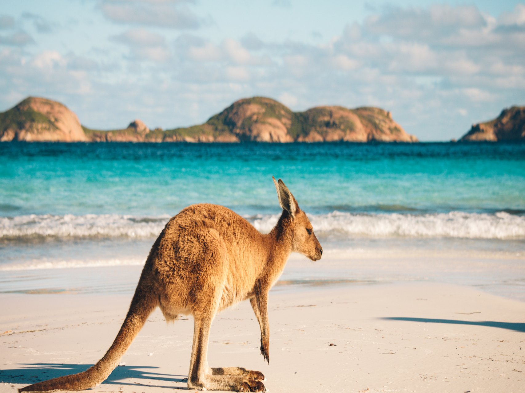 Lucky Bay: You can see kangaroos lying in this summer paradise