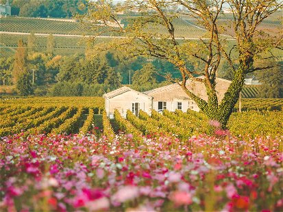 Saint-Émilion bringt nicht nur grossartige Weine hervor,&nbsp;1999 wurde das Gebiet auch zum UNESCO zum Weltkulturerbe ernannt.