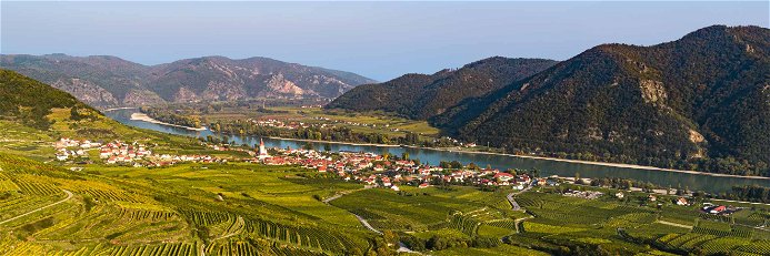 Weißenkirchen – das&nbsp;Zentrum der Wachauer Weinlandschaft