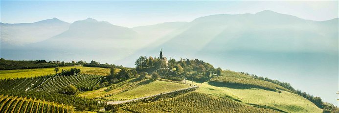 Die kleine Ortschaft Graun liegt auf 800 Meter Höhe über dem Weindorf Kurtatsch. Von hier stammen duftige, feine Weißweine.