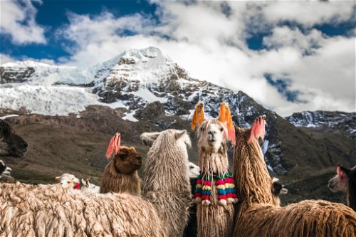 Schon eine Tour innerhalb Perus kann sich so vielfältig wie eine Weltreise anfühlen.