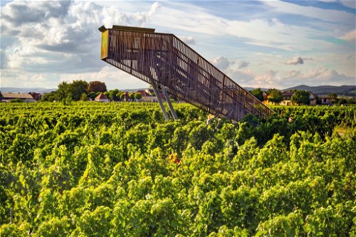 Von der Plattform in den Weingärten in Horitschon hat man einen&nbsp; tollen Ausblick.