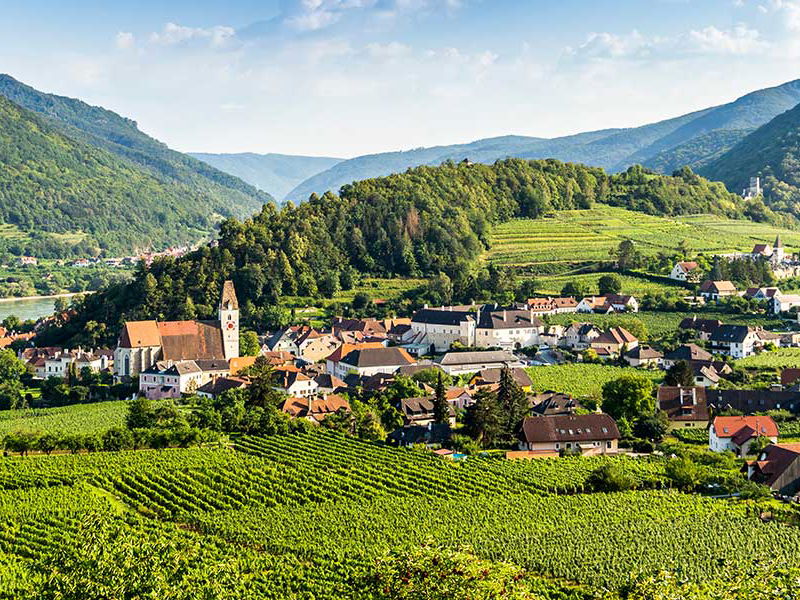 Bei den Lagen werden sogar Hangneigungen und Sonnenstunden erfasst. Hier Blick auf den Tausendeimer-Berg in Spitz.