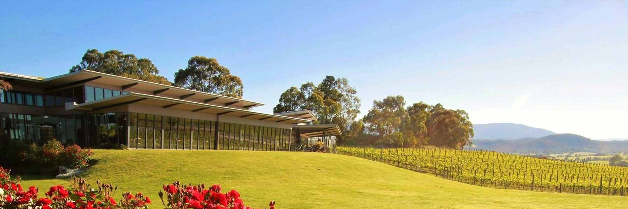 Das »Balgownie Estate« in Australien bietet einen atemberaubenden Ausblick in die hügelige Weinlandschaft.