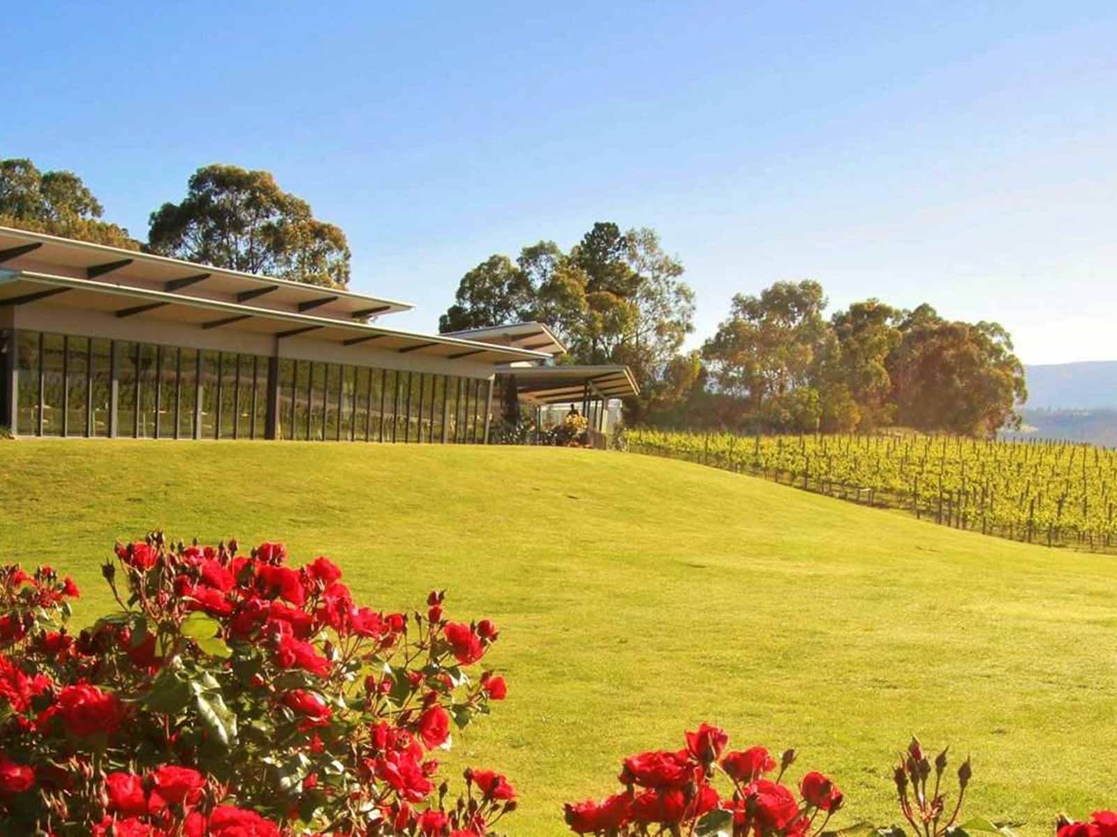 Das «Balgownie Estate» in Australien bietet einen atemberaubenden Ausblick in die hügelige Weinlandschaft.