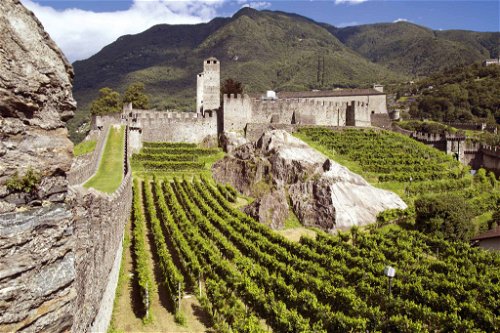 Sogar hier stehen Reben: Das Castelgrande ist eine von drei Burgen in Bellinzona. Das Gebäude kann auch besichtigt werden.