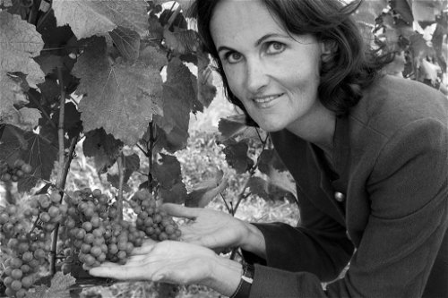 Marianne Witzko gilt als Pionierin des Qualitätsweinbaus im Flachgau nahe Salzburg.&nbsp; Eine Region, die vom Klimawandel profitiert.