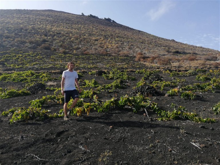 Darren Smith on the Machqueras vineyard on La Palma, Canary Islands