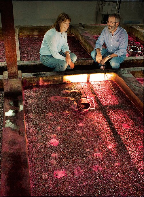 Ein weiterer grosser Rotweinjahrgang ist im Keller eingetroffen, die Vorfreude der Winzer ist spürbar.