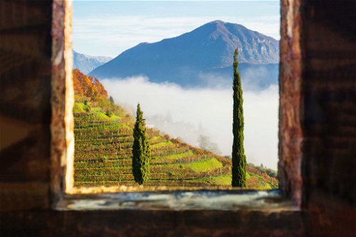 Hoch über dem Luganersee bieten die Weinberge von Castello di Morcote eine fantastische Aussicht. Das Reich von Gaby Gianini, die das Weingut 2009 übernahm.