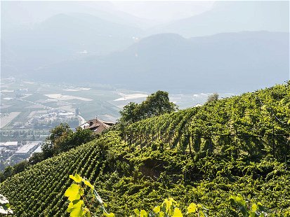 Steil, steiler, Südtirol: Extreme Hanglagen in luftiger Höhe machen die Südtiroler Weine so spannend!